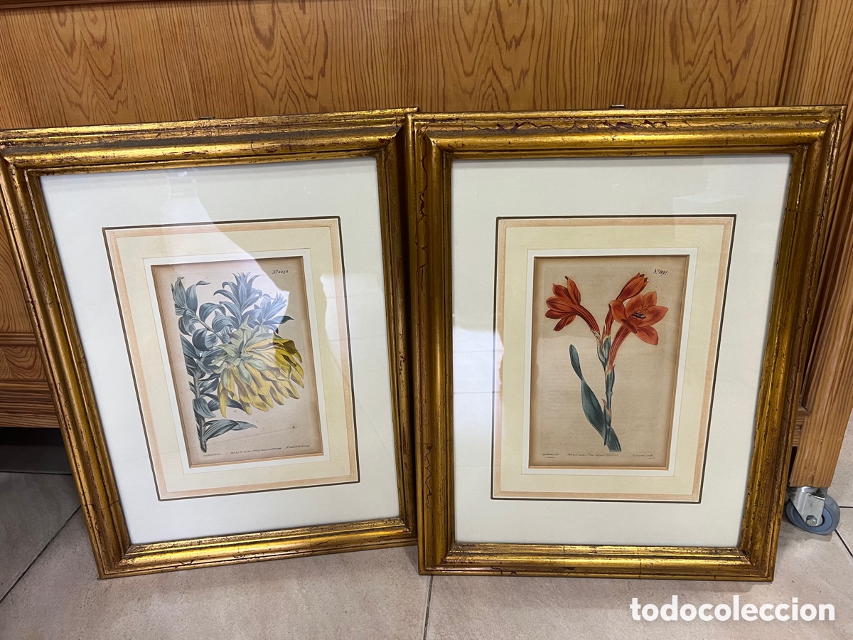 Otros objetos de arte: Lote de 2 aguafuertes antiguos ,certificado