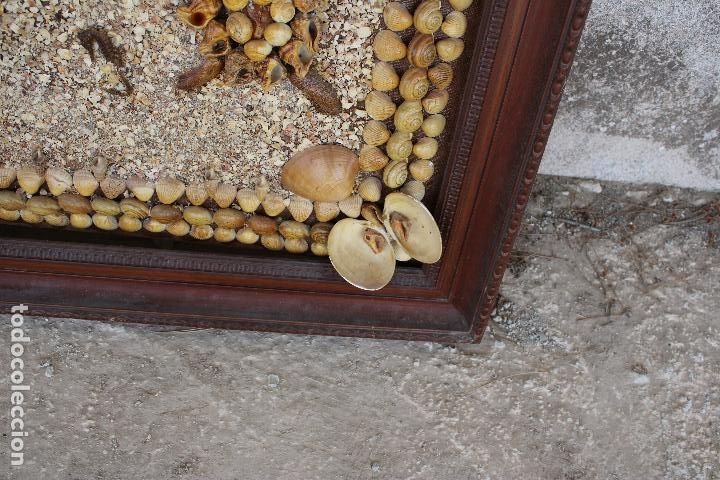 Otros objetos de arte: cuadro con caracoles - Foto 3