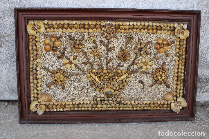Otros objetos de arte: cuadro con caracoles - Foto 1