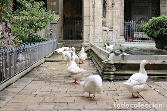 Otros objetos de arte: Cuadro Francesc Congost Tor - Foto 3