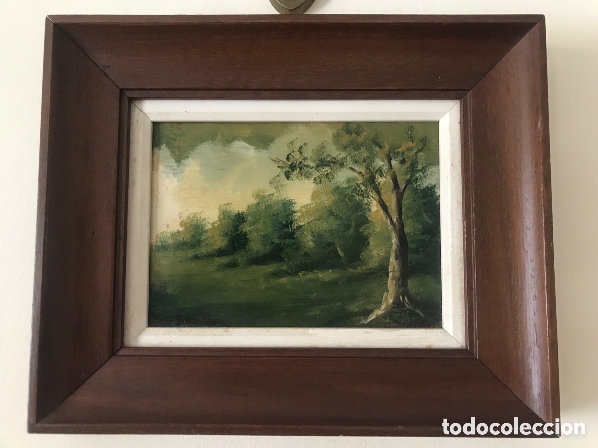 Otros objetos de arte: Cuadro - Foto 1