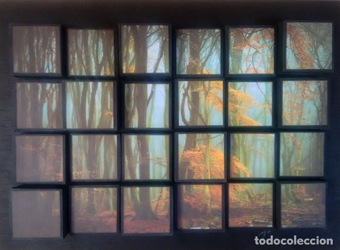 Otros objetos de arte: Obra 3d de Natasha Pilipo - Foto 1
