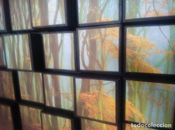 Otros objetos de arte: Obra 3d de Natasha Pilipo - Foto 3