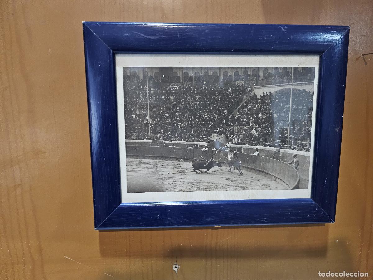 Otros objetos de arte: fotografia de toros - Foto 2
