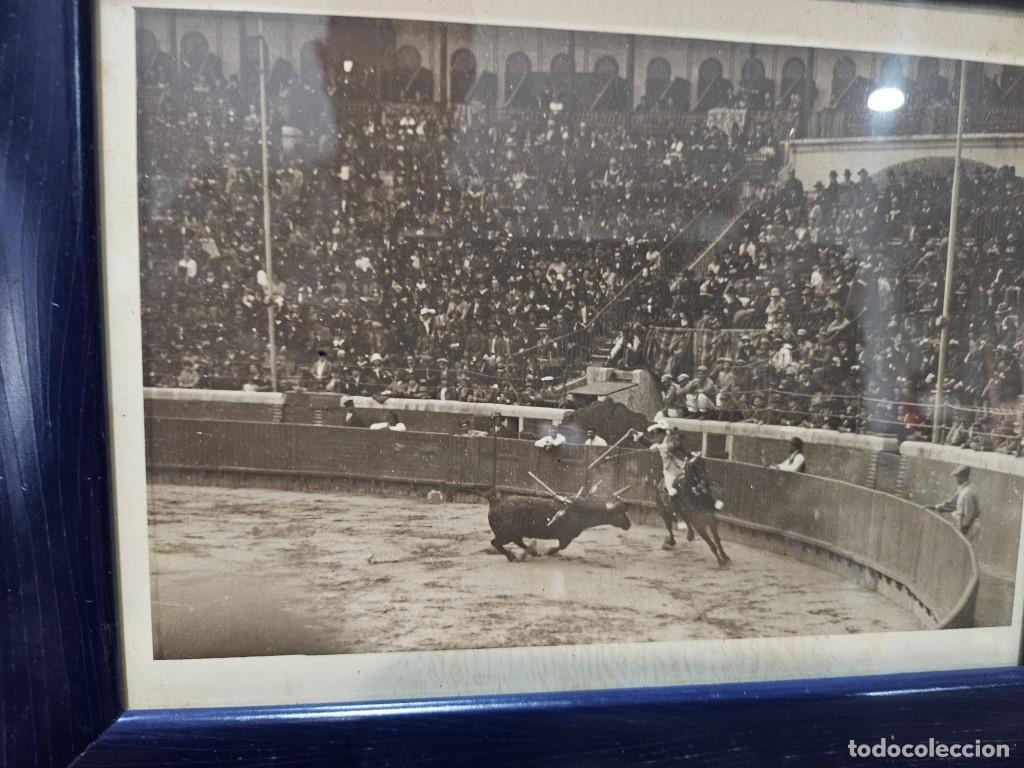 Otros objetos de arte: fotografia de toros - Foto 7