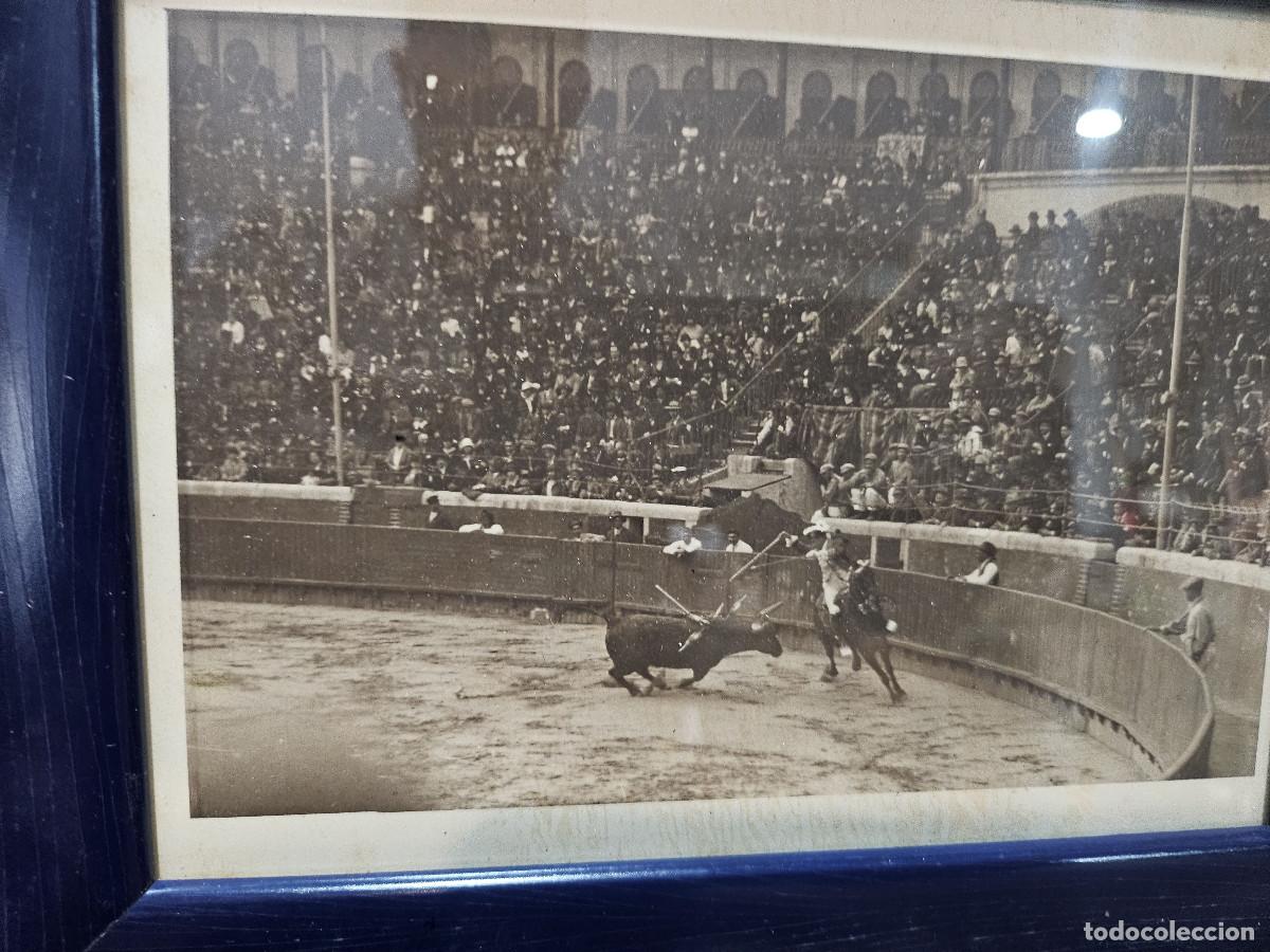 Otros objetos de arte: fotografia de toros - Foto 8
