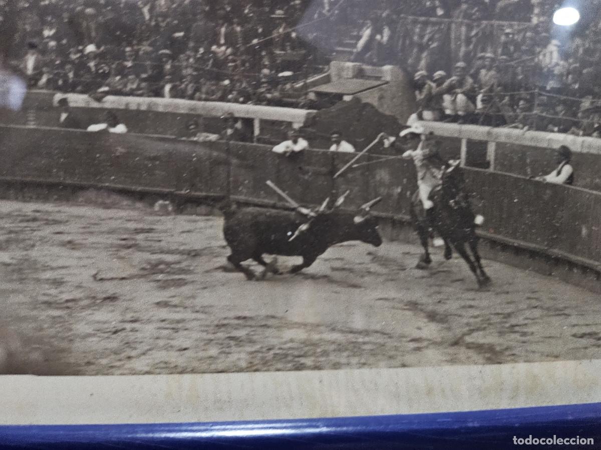 Otros objetos de arte: fotografia de toros - Foto 10