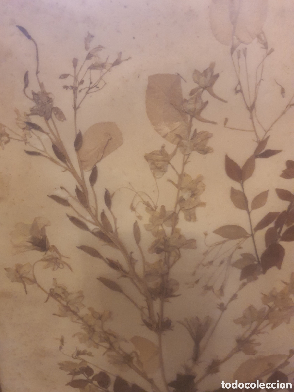 Otros objetos de arte: CUADRO COMPOSICI&Oacute;N FLORAL CON FLORES SECAS - Foto 2