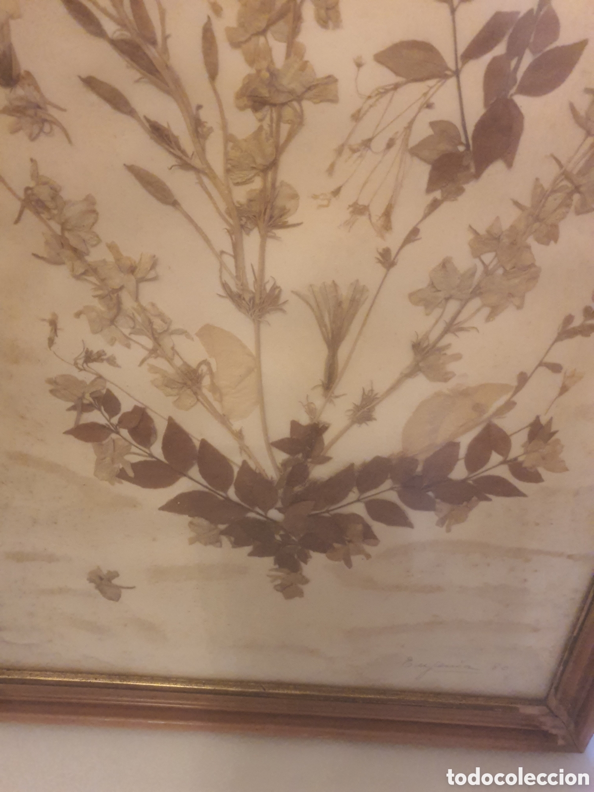 Otros objetos de arte: CUADRO COMPOSICI&Oacute;N FLORAL CON FLORES SECAS - Foto 3