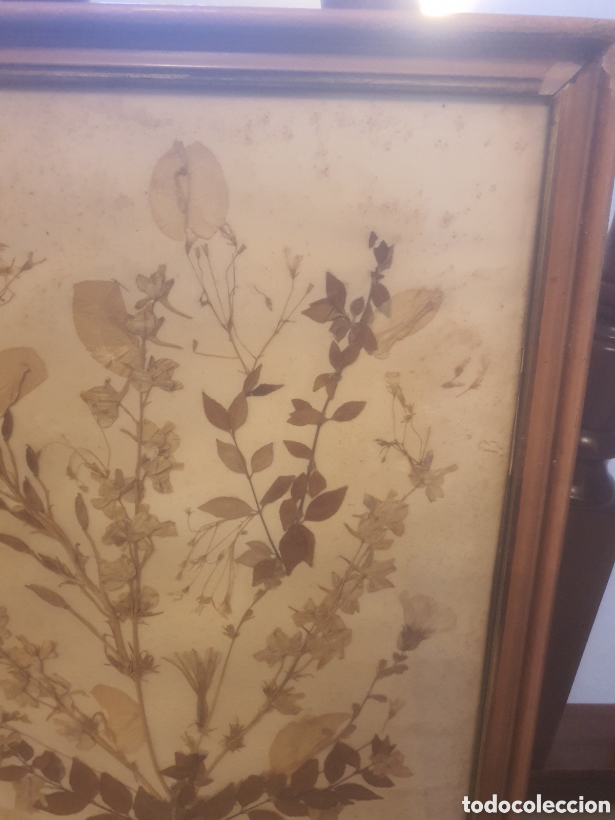Otros objetos de arte: CUADRO COMPOSICI&Oacute;N FLORAL CON FLORES SECAS - Foto 4