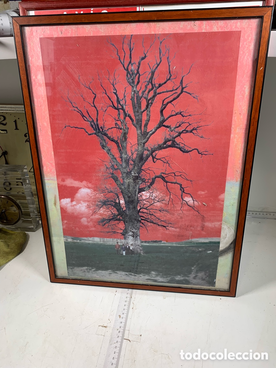 Otros objetos de arte: 01_ cuadro - Foto 3