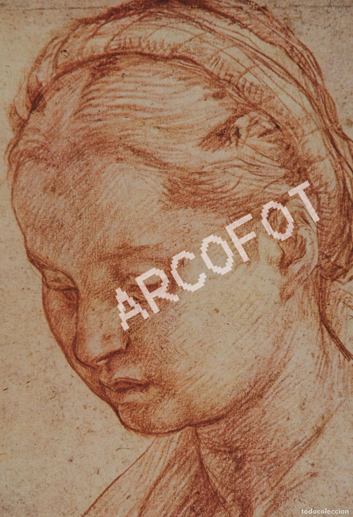 Otros objetos de arte: 1984 - ANDREA DEL SARTO - RETRATO DE MUCHACHO - Foto 2