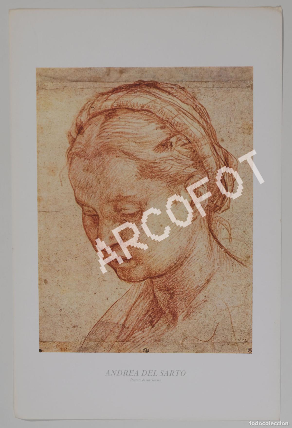 Otros objetos de arte: 1984 - ANDREA DEL SARTO - RETRATO DE MUCHACHO - Foto 1