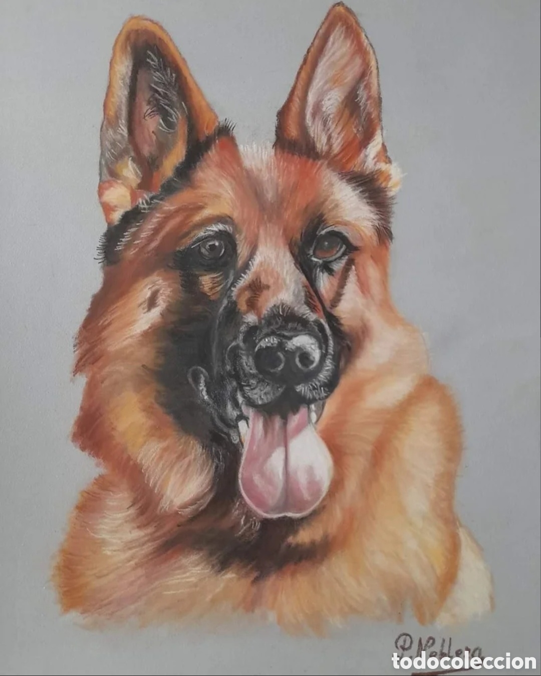 Otros objetos de arte: Pintura t&eacute;cnica pastel - Foto 1
