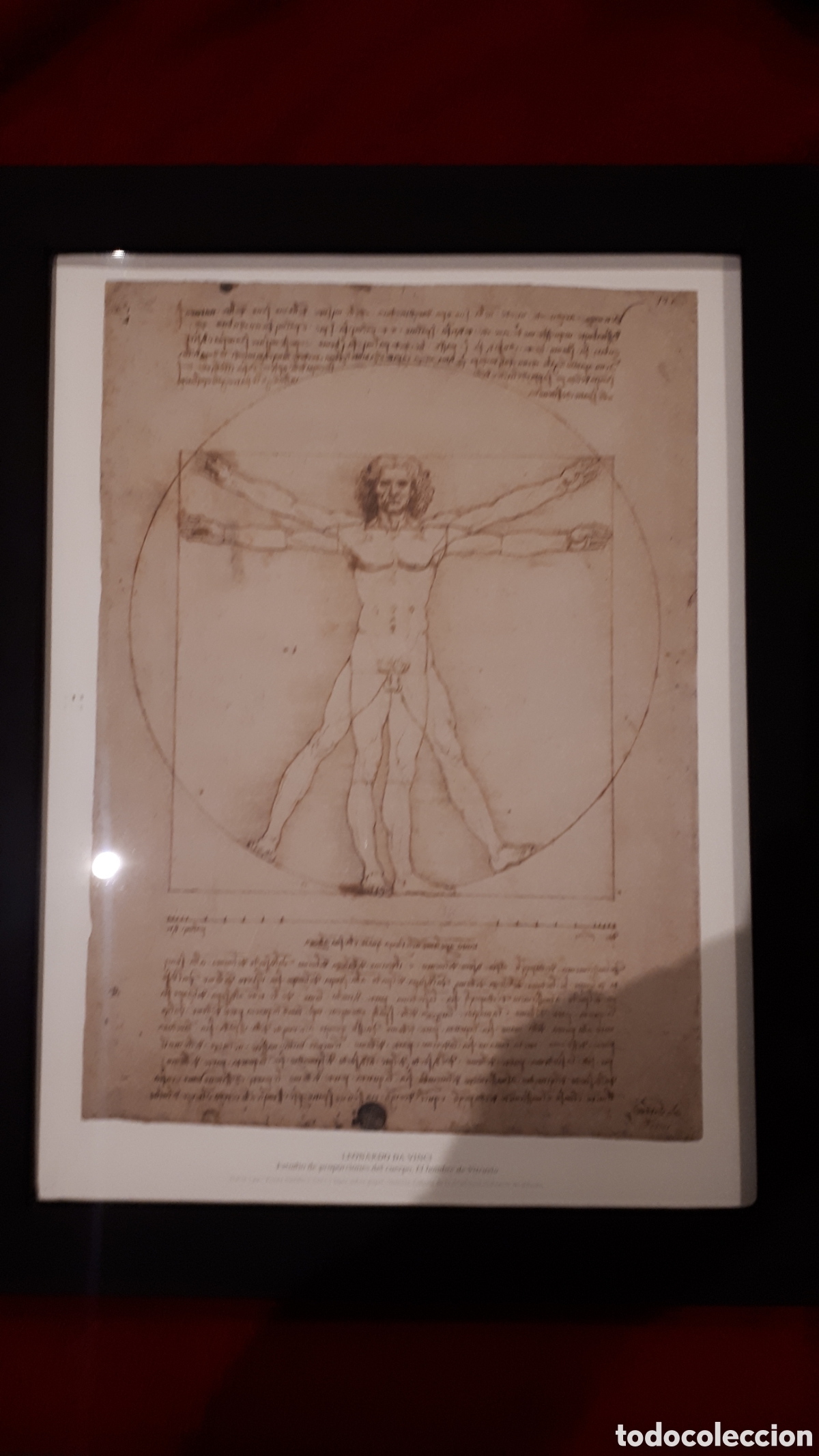 Otros objetos de arte: Cuadro Leonardo nuevo a estrenar - Foto 3