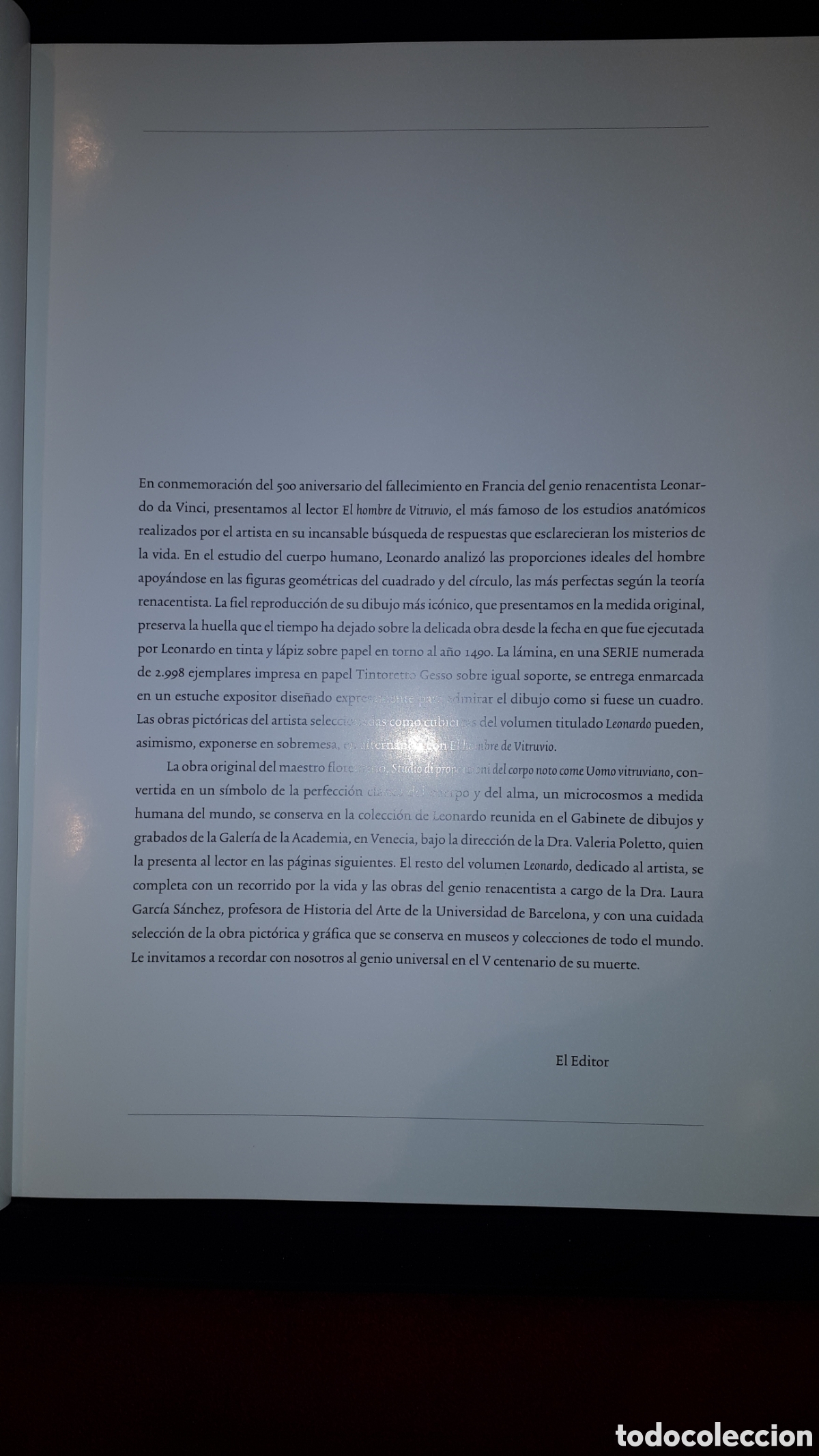 Otros objetos de arte: Cuadro Leonardo nuevo a estrenar - Foto 4