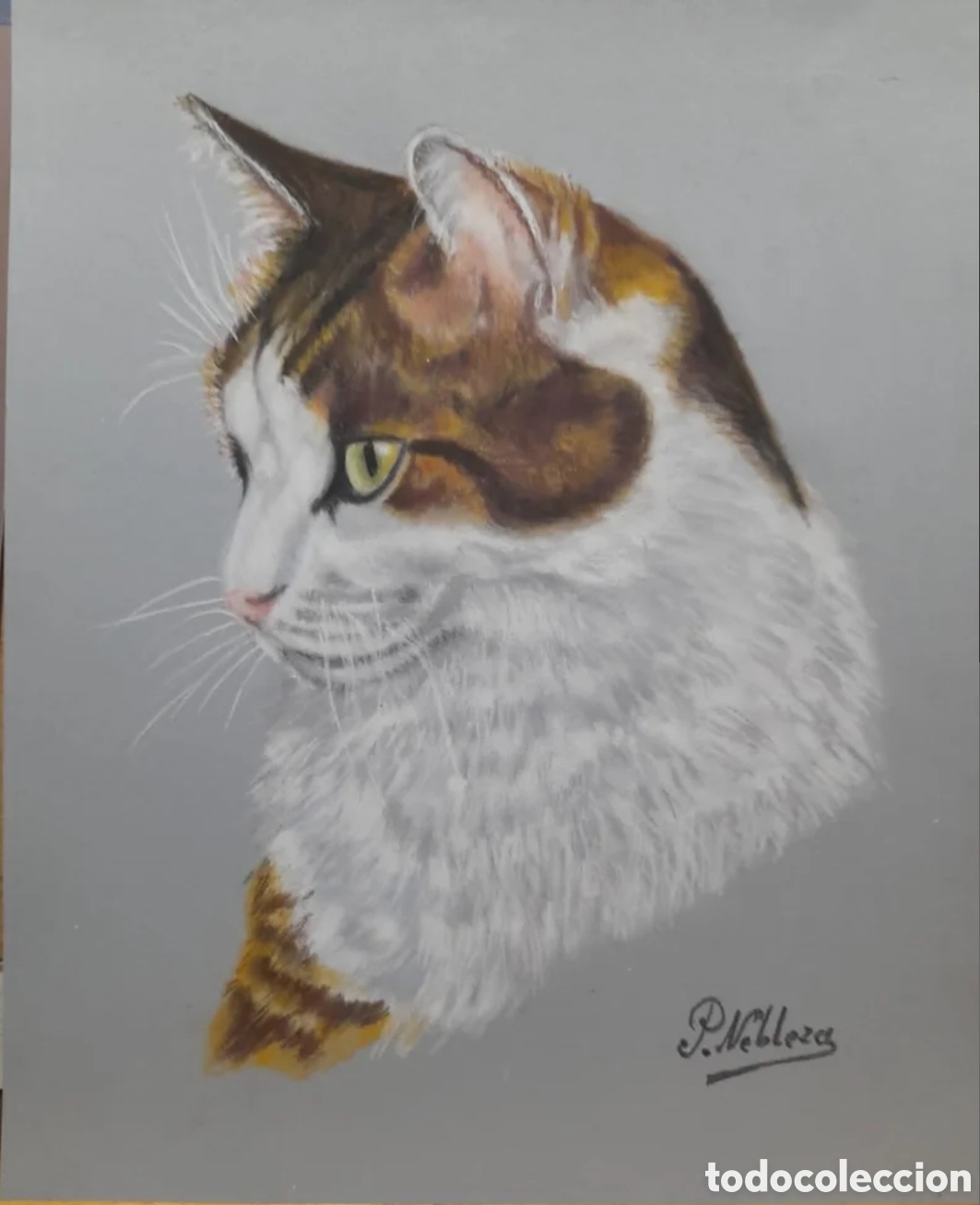 Otros objetos de arte: Cuadro t&eacute;cnica pastel - Foto 1