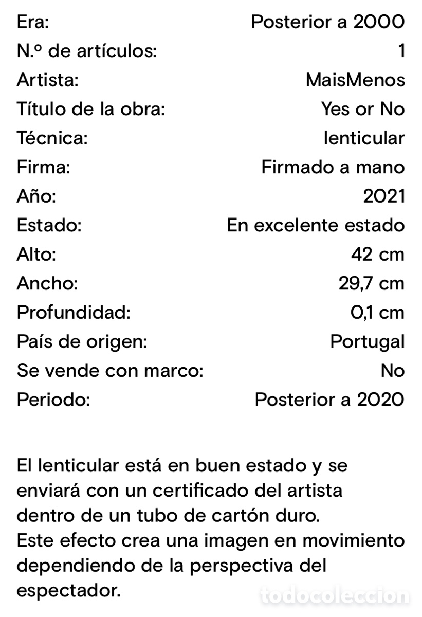Otros objetos de arte: Lenticular MaisMenos - Foto 2