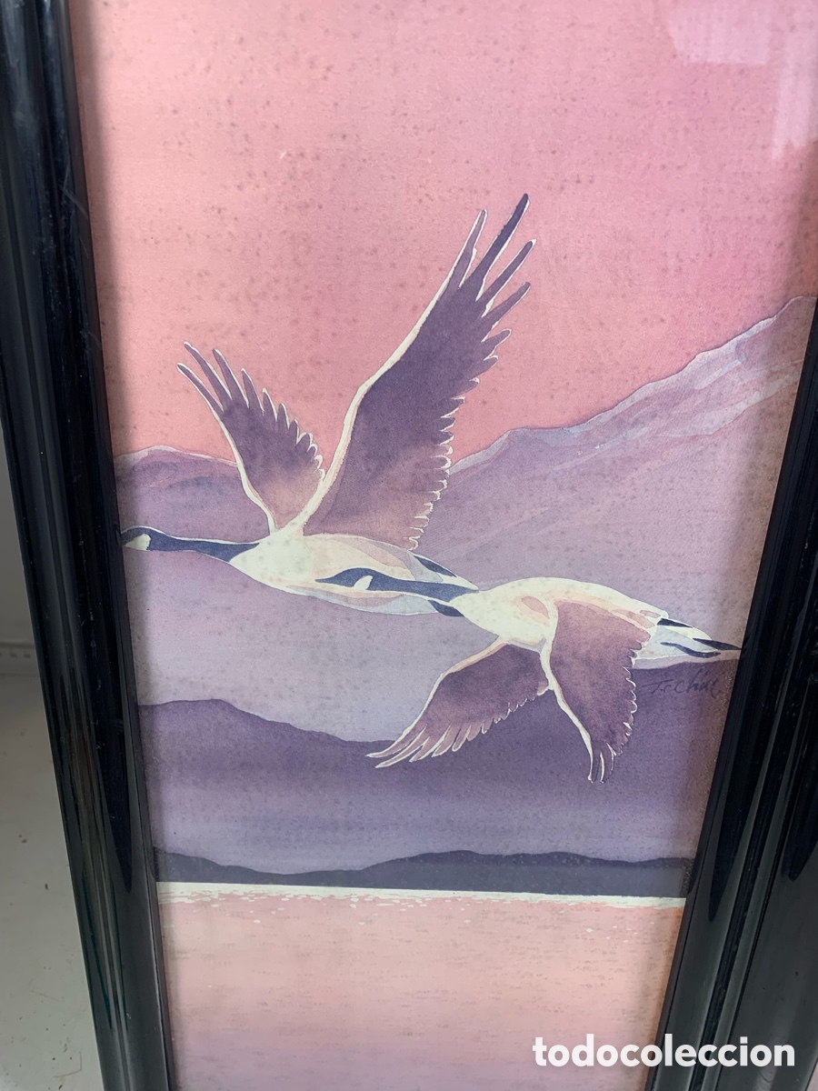 Otros objetos de arte: 01_ Cuadros de p&aacute;jaros - Foto 2