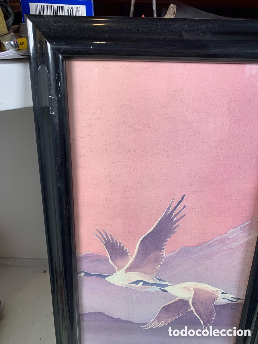 Otros objetos de arte: 01_ Cuadros de p&aacute;jaros - Foto 3
