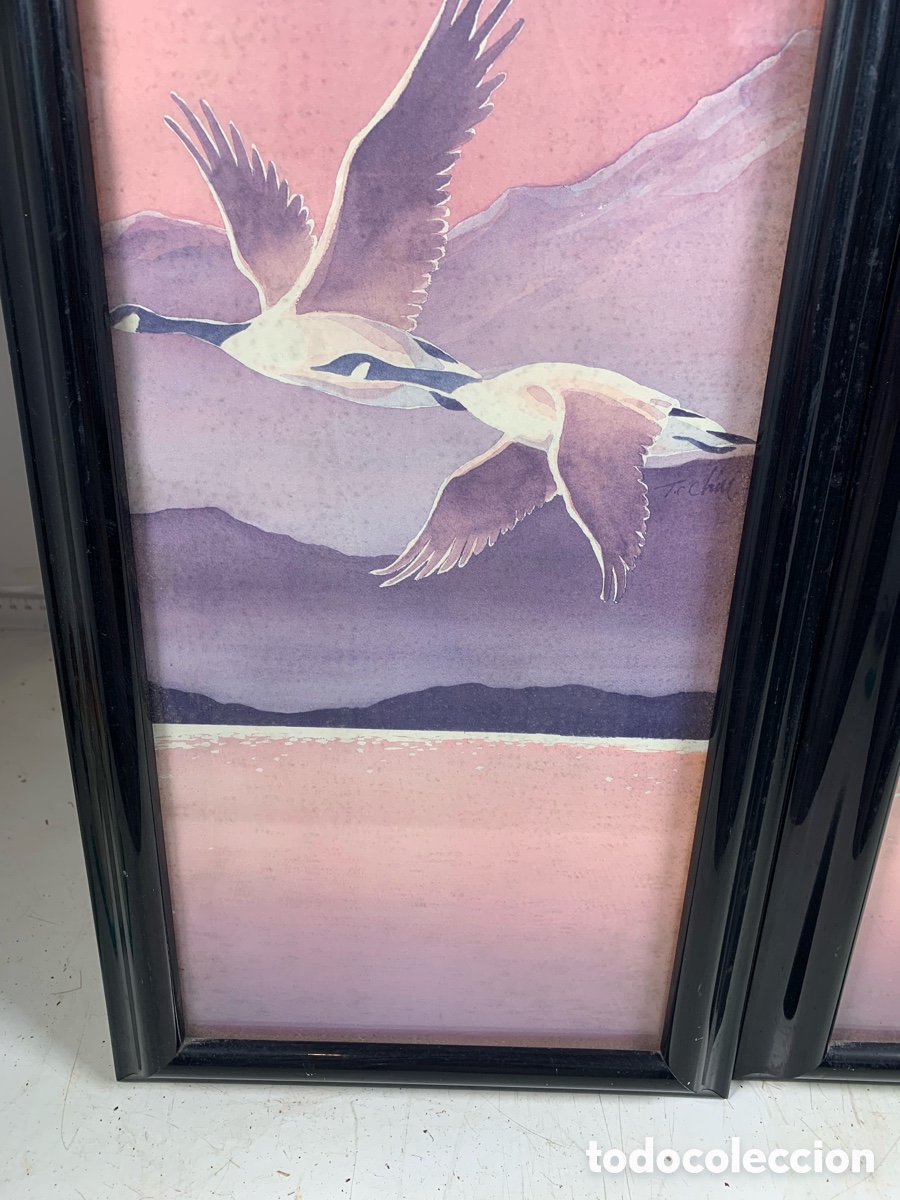 Otros objetos de arte: 01_ Cuadros de p&aacute;jaros - Foto 4