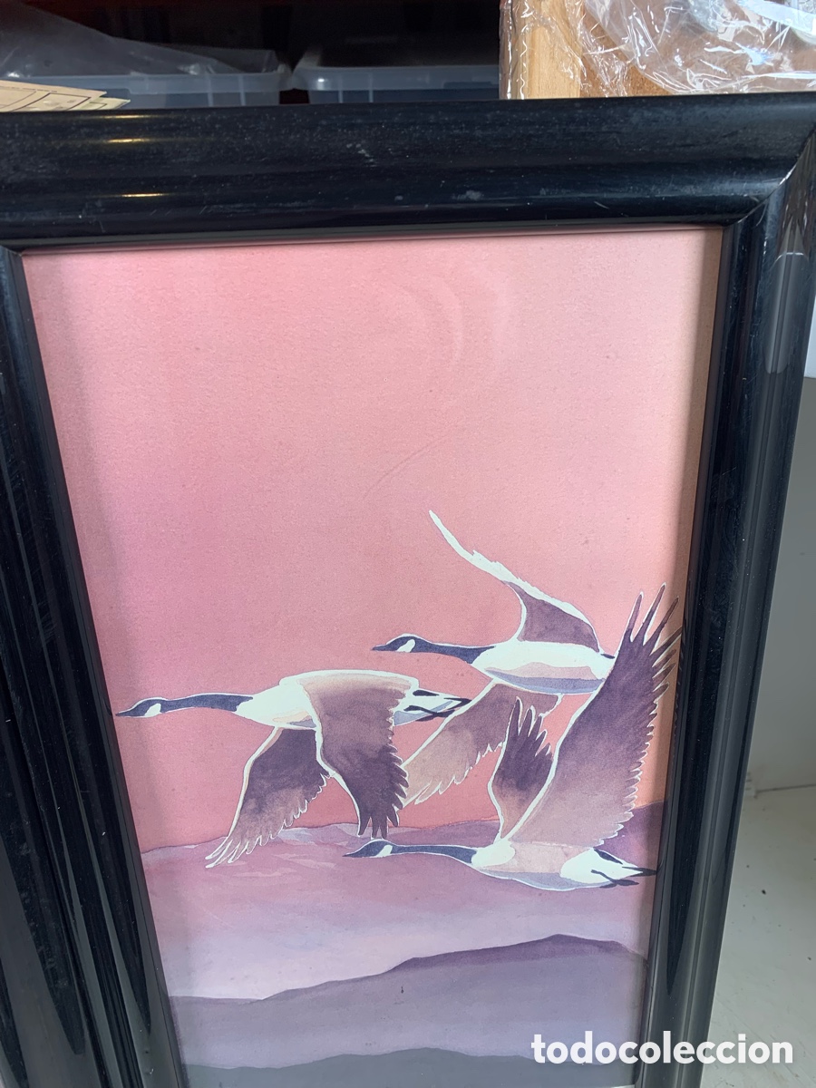 Otros objetos de arte: 01_ Cuadros de p&aacute;jaros - Foto 5