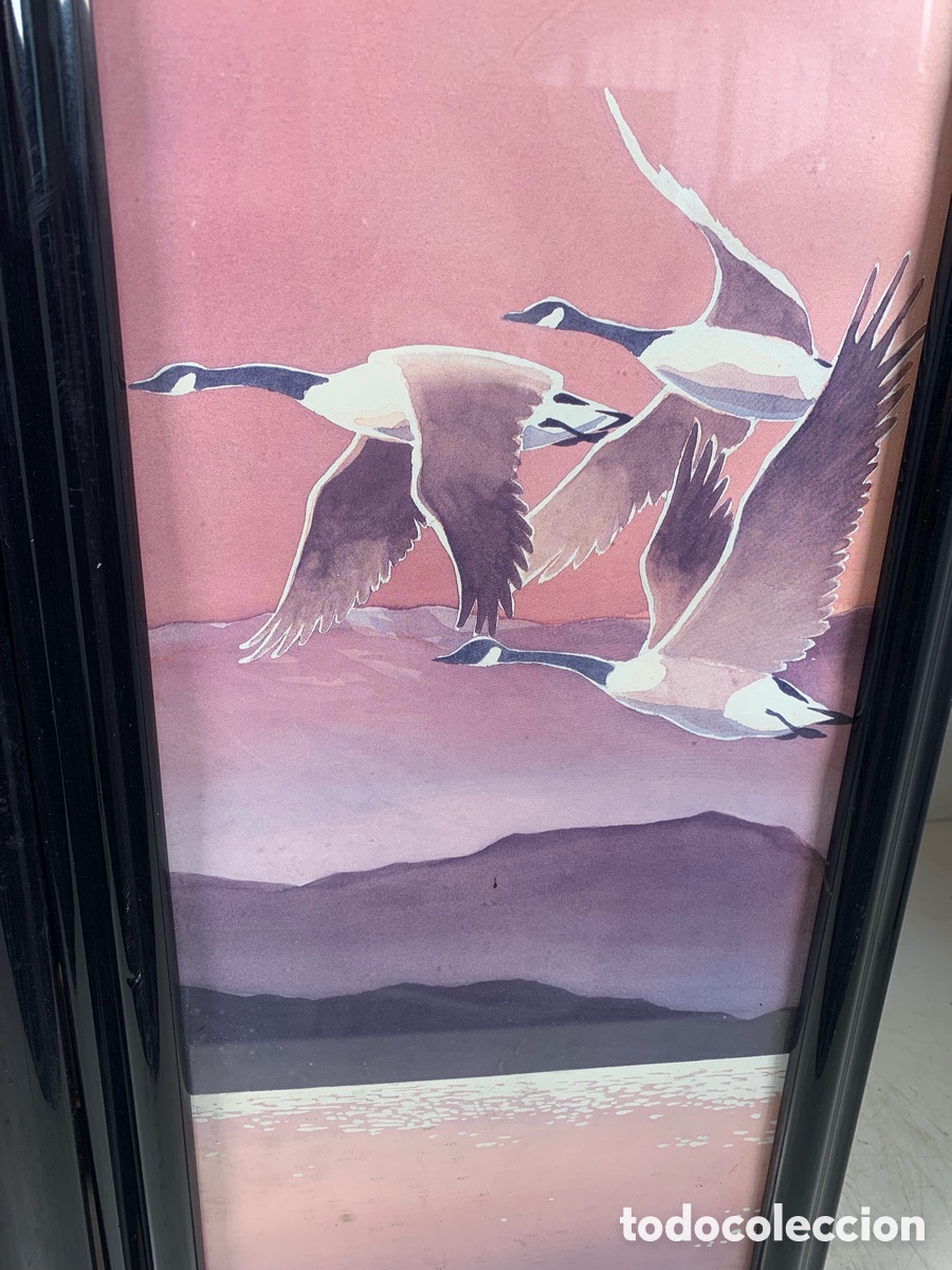 Otros objetos de arte: 01_ Cuadros de p&aacute;jaros - Foto 6