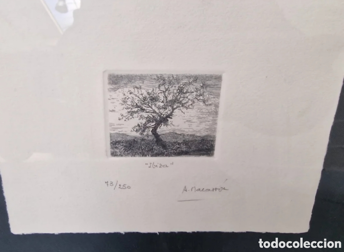 Otros objetos de arte: Cuadro Alejandro Macarr&oacute;n - Foto 2