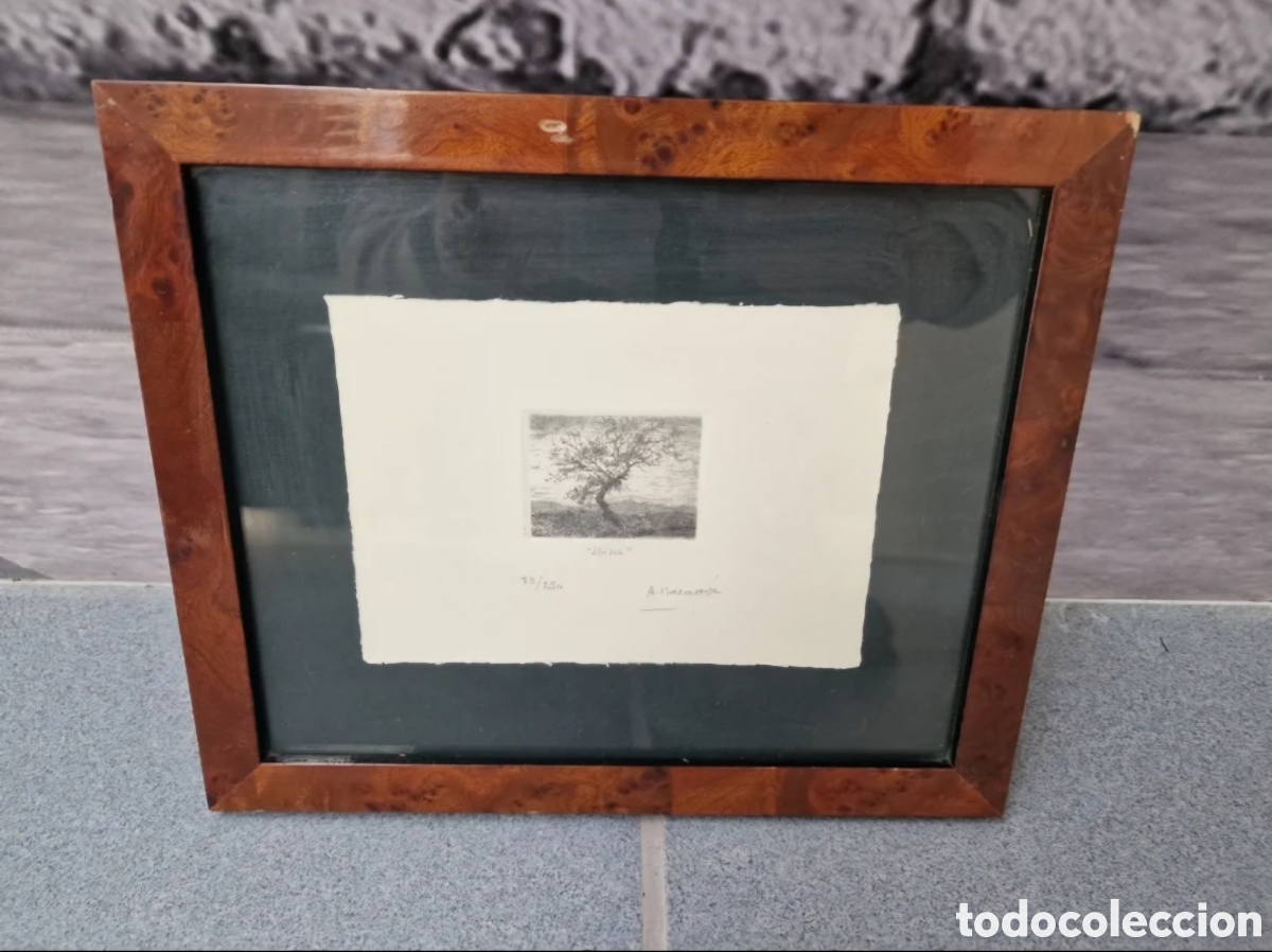 Otros objetos de arte: Cuadro Alejandro Macarr&oacute;n - Foto 1