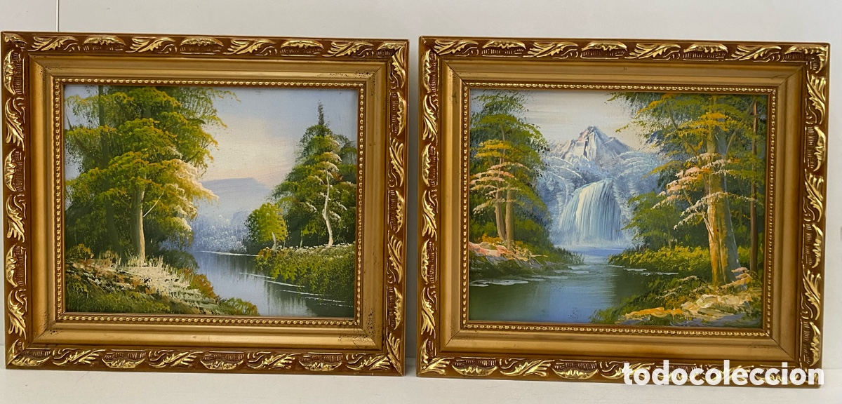 Otros objetos de arte: .Dos. Cuadros s&oacute;leos sobre lienzo con bonito Marco. - Foto 1