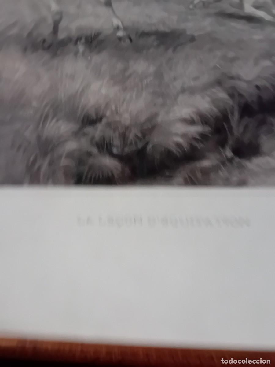 Otros objetos de arte: Lamina enmarcada &rdquo;La lecon de equitation&rdquo;.100 x 80 cm - Foto 3