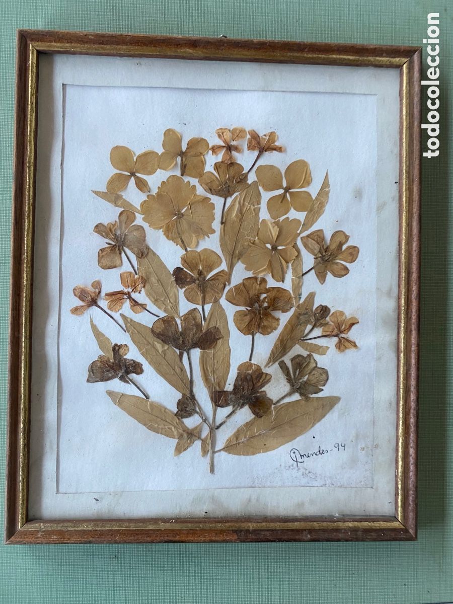 Otros objetos de arte: Cuadro hojas secas vintage - Foto 1