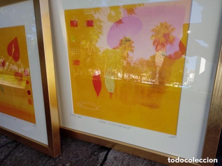 Otros objetos de arte: cuadros del artista christiane behr - Foto 3