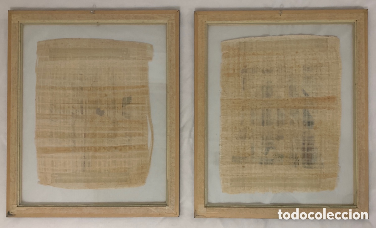Otros objetos de arte: Pareja de papiros enmarcados - Foto 2