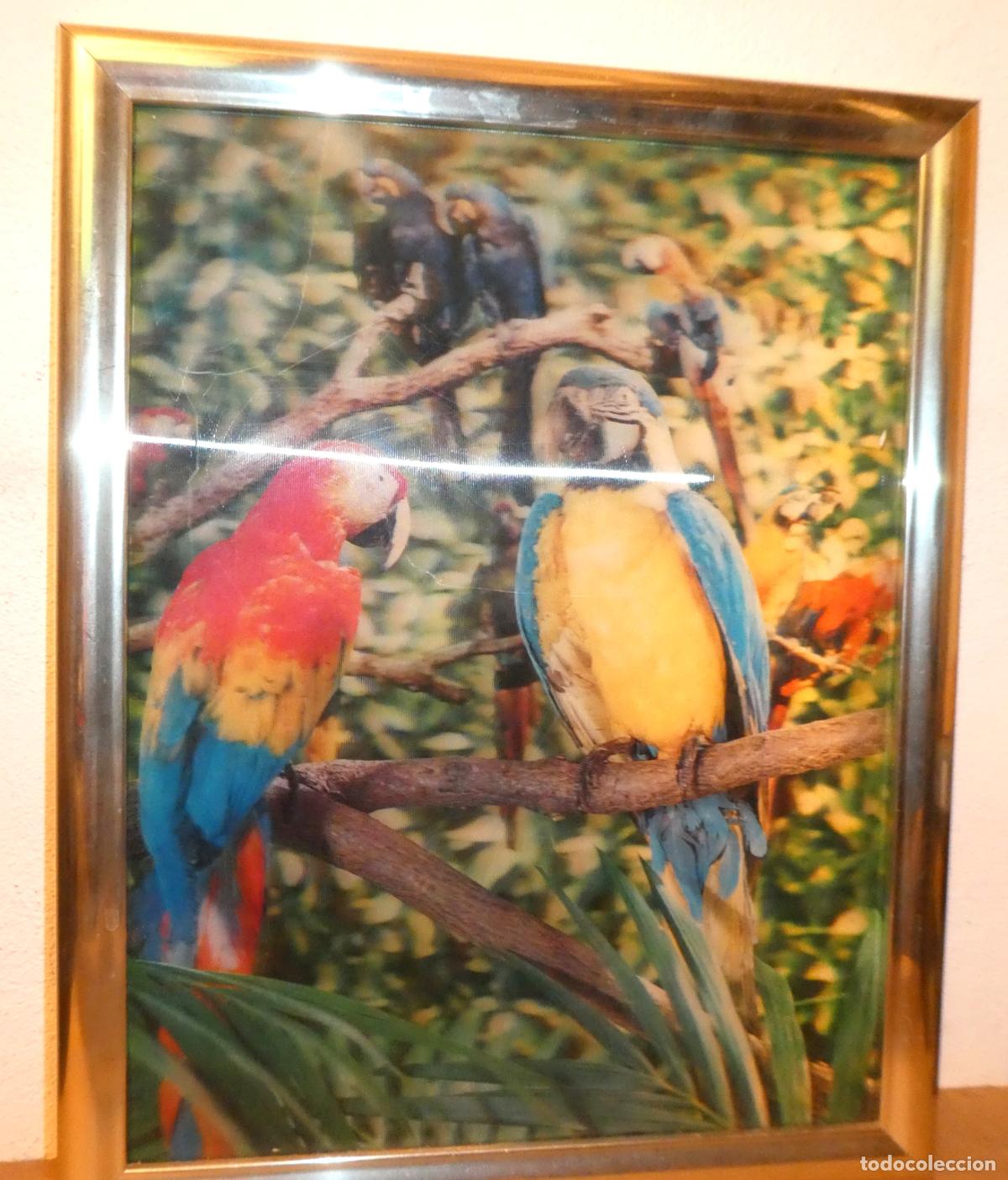 Otros objetos de arte: Lamina con efecto tridimensional ,con marco - Foto 2