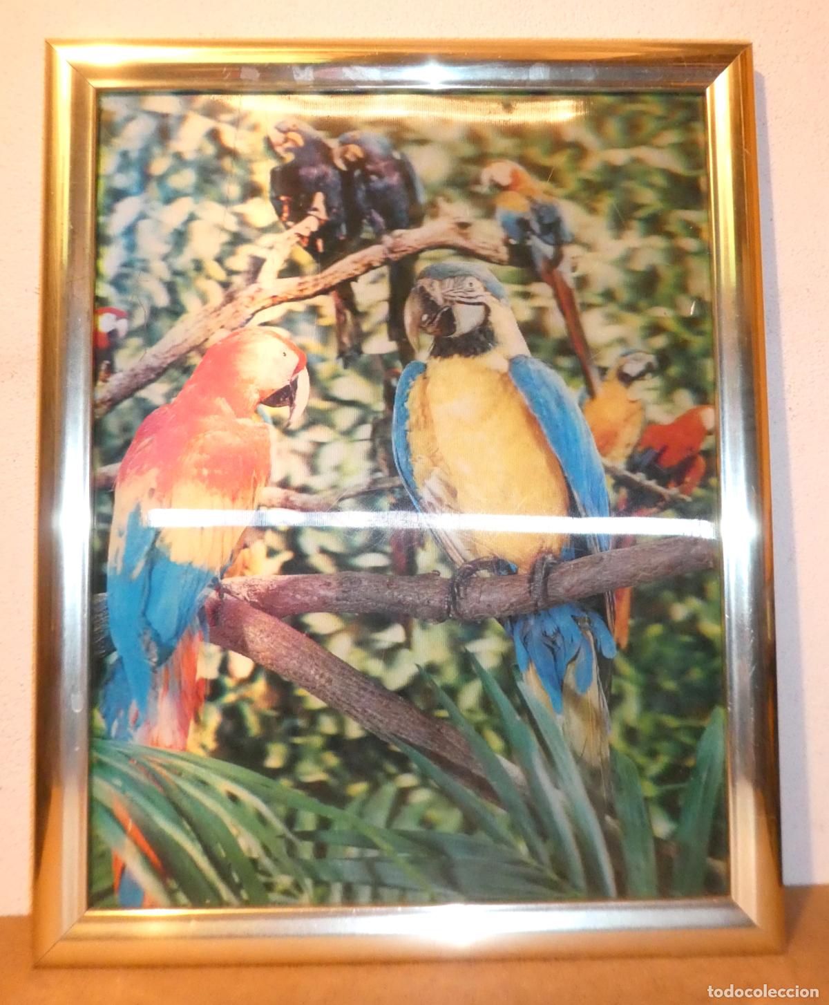 Otros objetos de arte: Lamina con efecto tridimensional ,con marco - Foto 1