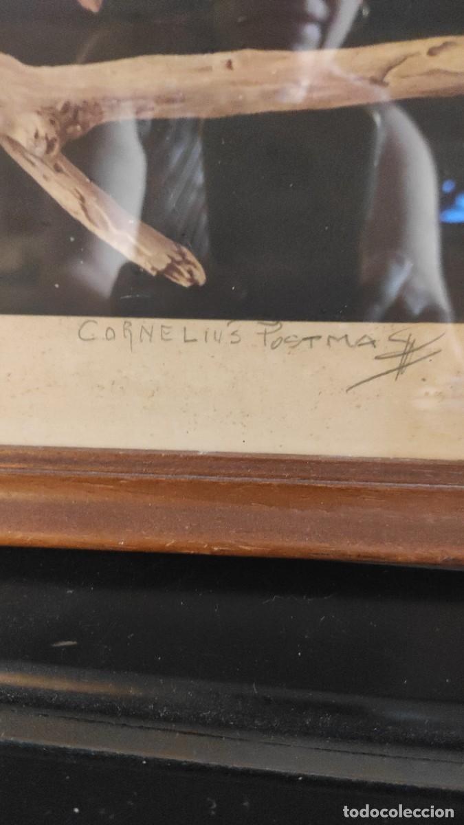 Otros objetos de arte: Cornelius postma , realismo - Foto 4