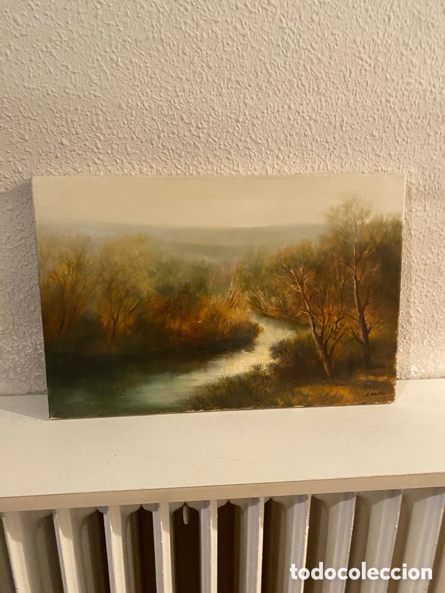 Otros objetos de arte: Cuadro paisaje con r&iacute;o - Foto 1