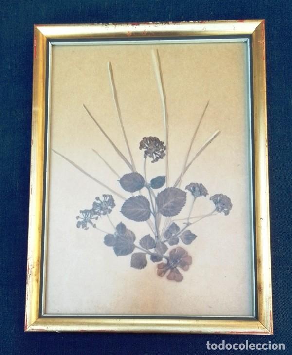 Otros objetos de arte: Cuadro hecho con flores secas - Foto 1