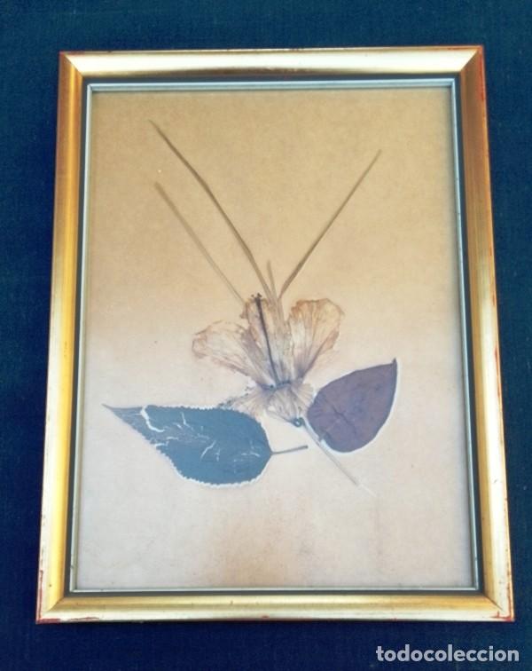 Otros objetos de arte: Cuadro hecho con flores secas - Foto 1