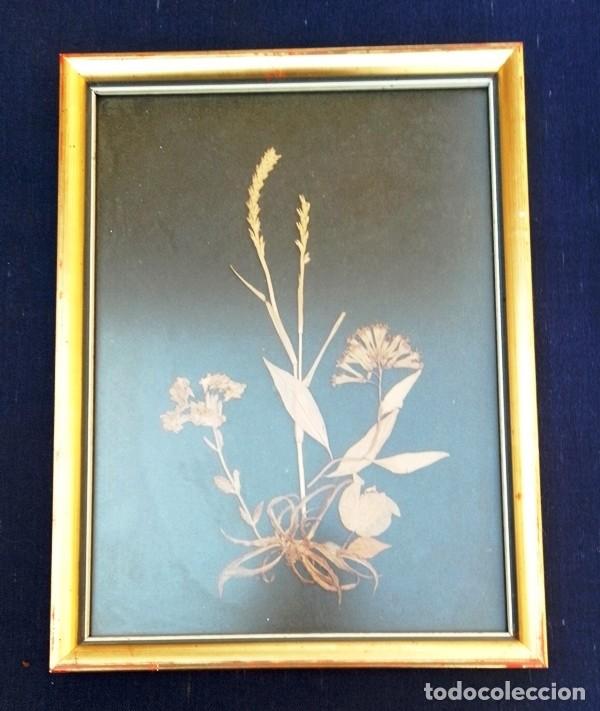 Otros objetos de arte: Cuadro hecho con flores secas - Foto 1