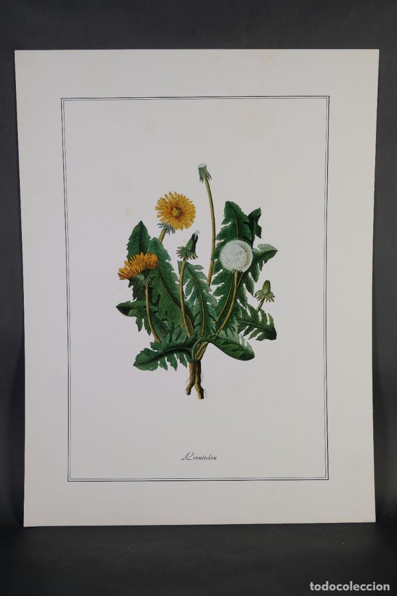 Otros objetos de arte: 4 l&aacute;minas de flores - impresi&oacute;n digital - Foto 2