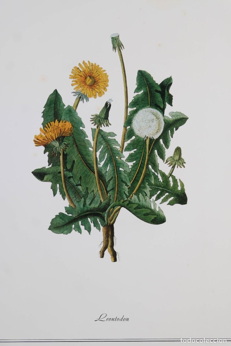 Otros objetos de arte: 4 l&aacute;minas de flores - impresi&oacute;n digital - Foto 3