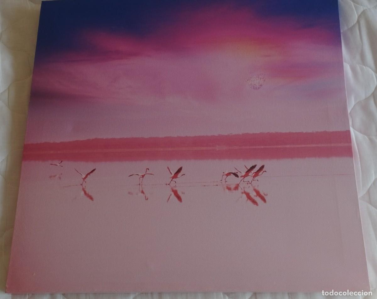 Otros objetos de arte: La laguna roja, impresi&oacute;n sobre lienzo - Foto 1