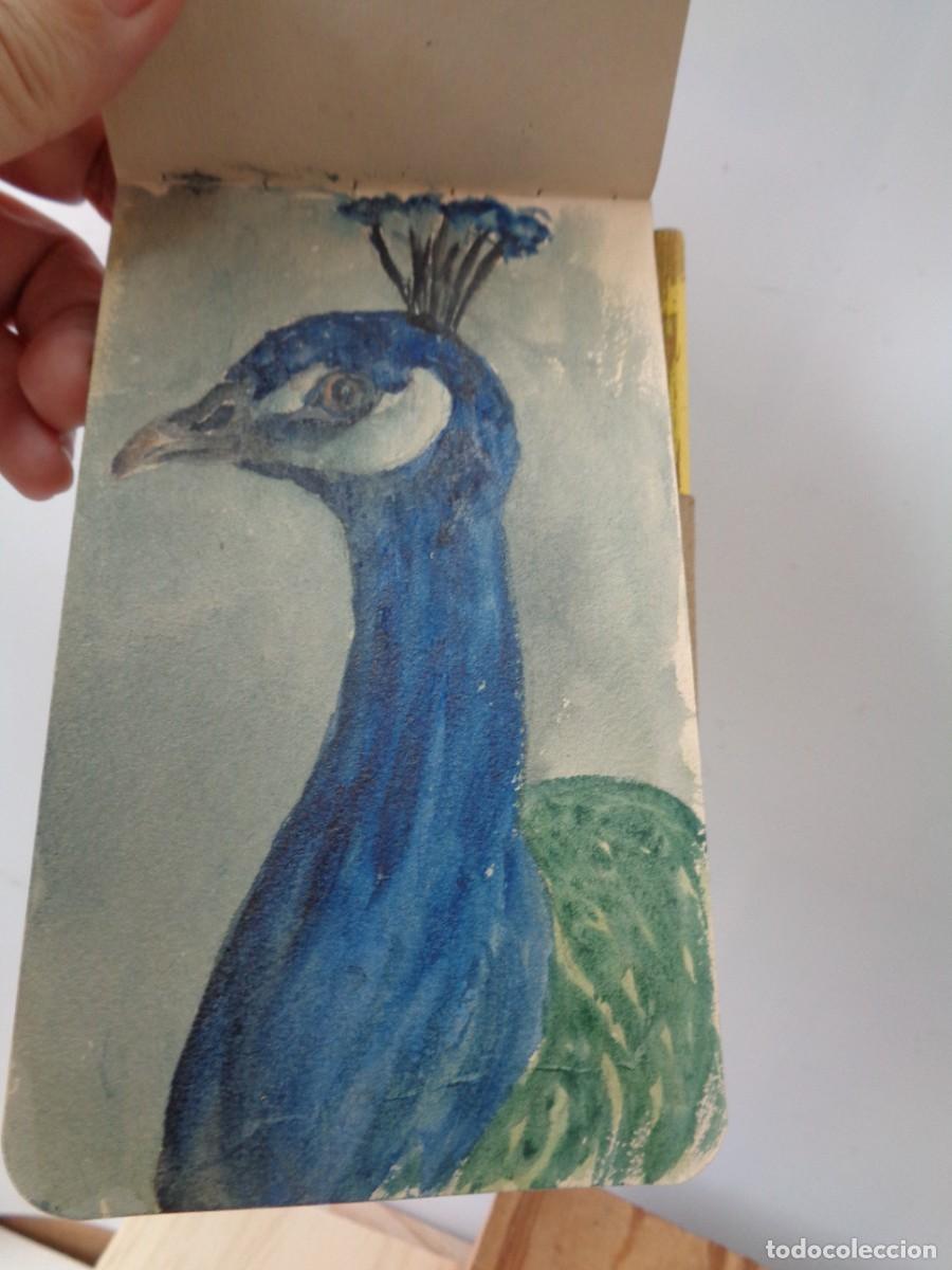 Arte: Apuntes: CUADERNO d CAMPO. De Un NATURALISTA . AVES Y MAS... PINTURA (ACUARELA). A&ntilde;o(1930). !! C-20.