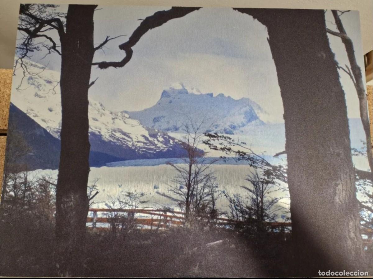 Otros objetos de arte: CUADRO IMPRESO EN ALUMINIO - Foto 1