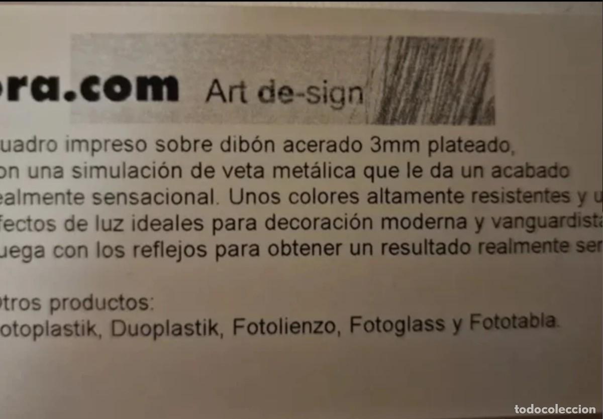 Otros objetos de arte: CUADRO IMPRESO EN ALUMINIO - Foto 5