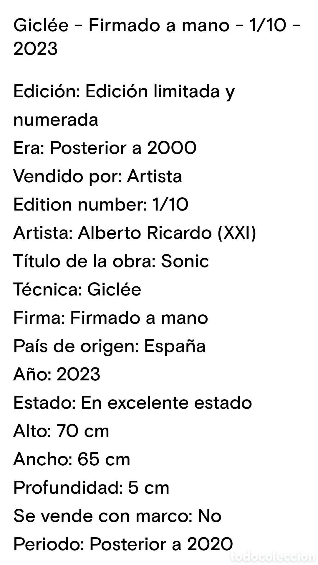 Otros objetos de arte: N 43 LIENZO 70 x 65 DE SONIC - Foto 9