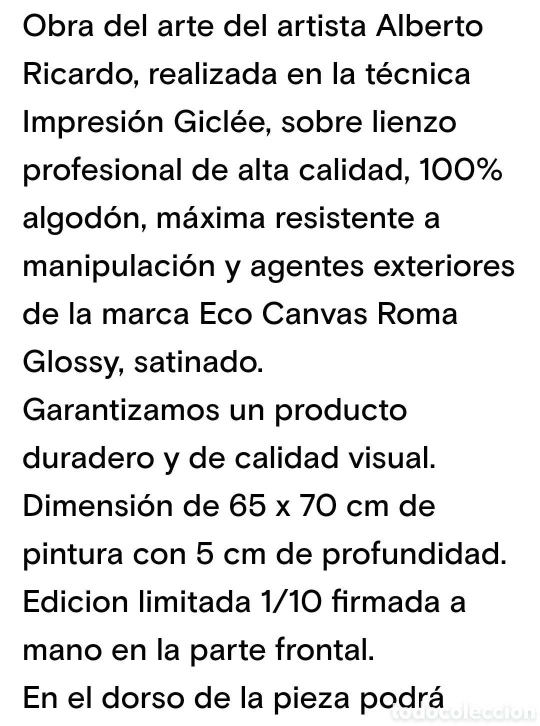Otros objetos de arte: N 43 LIENZO 70 x 65 DE SONIC - Foto 10