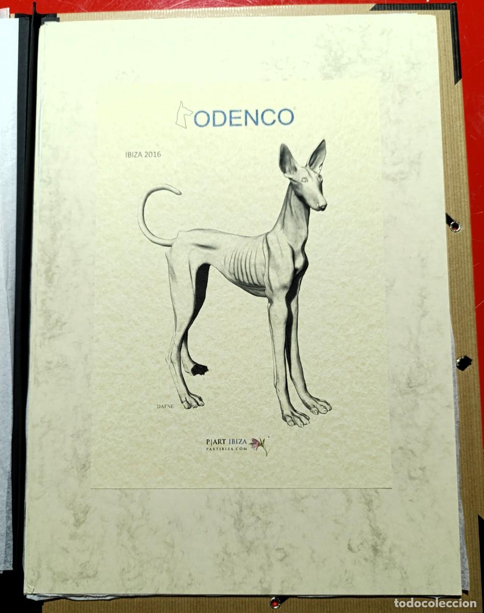 Otros objetos de arte: CARPETA DEL PROYECTO &ldquo;PODENCO&rdquo; DE ART IBIZA - Foto 1